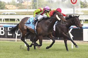 Mezeray Miss wins the Listed Twilight Glow Stakes